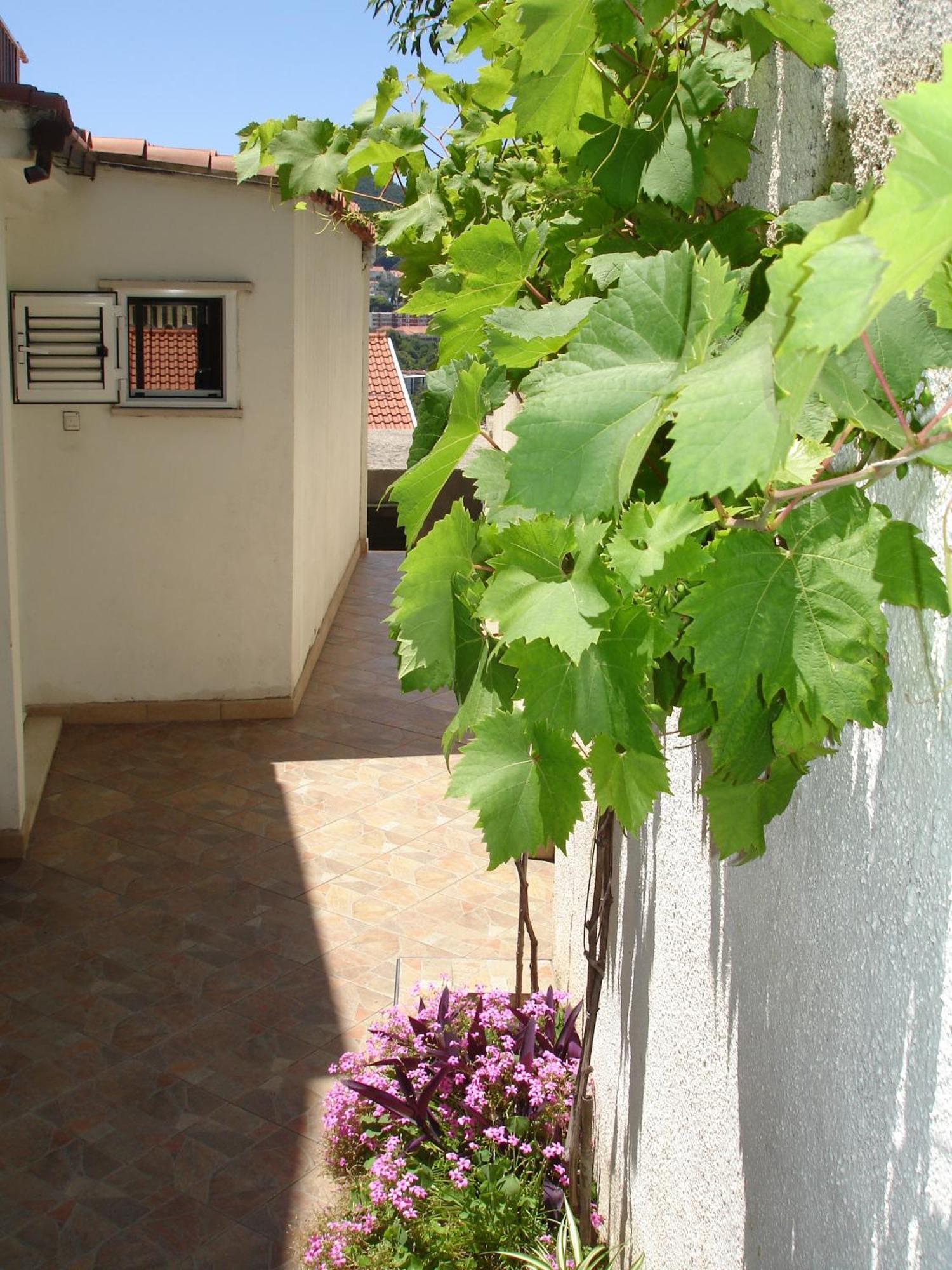 Rooms Andrijana Dubrovnik Dış mekan fotoğraf